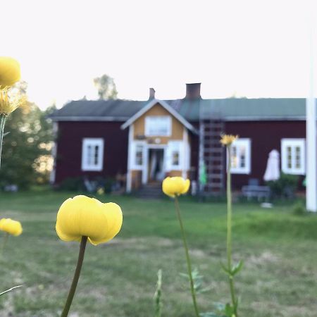 Paeivin Pirtti - Pirttikahvila Ja B&B Luosto Bagian luar foto