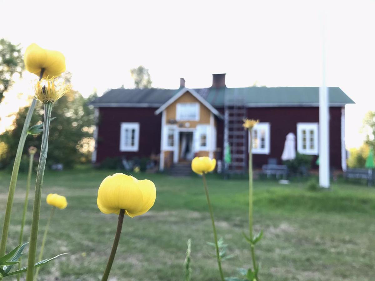 Paeivin Pirtti - Pirttikahvila Ja B&B Luosto Bagian luar foto
